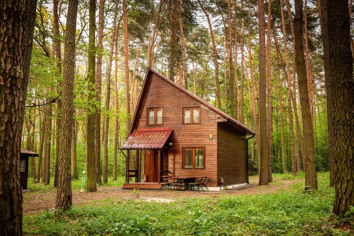 Aura Grotniki Hotell Grotniki  Exteriör bild