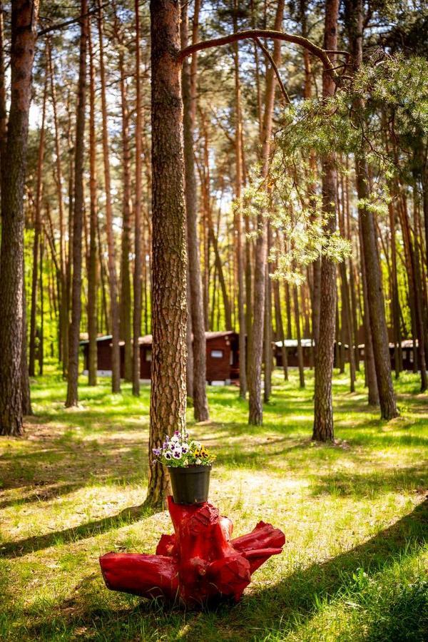 Aura Grotniki Hotell Grotniki  Exteriör bild